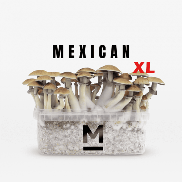 Mondo® Mexican XL Magic Mushroom Grow Kit
